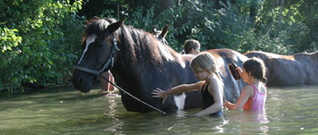 baden_mit_pferden