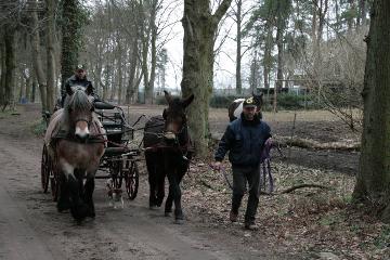 Pascha beim Einfahren
